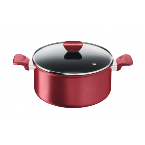 Tefal Expert Stewpot 26 cm Red C2891004