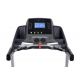 Entercise Electric Treadmill AC For 180 kgm Magna-AC