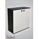Wood & More Small Shoe Cabinet 2 Doors 80*35 cm Brown SC-2Dr BR
