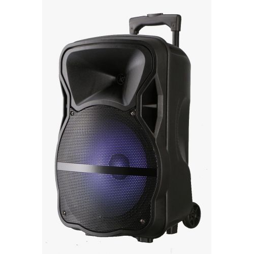MAX Speaker 10 inch with Remote Control and Mic Max 10-SO