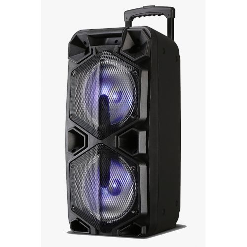 MAX Speaker with Remote Control and Mic Max 10-D
