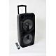 MAX Speaker with Remote Control and Mic Max 10-D
