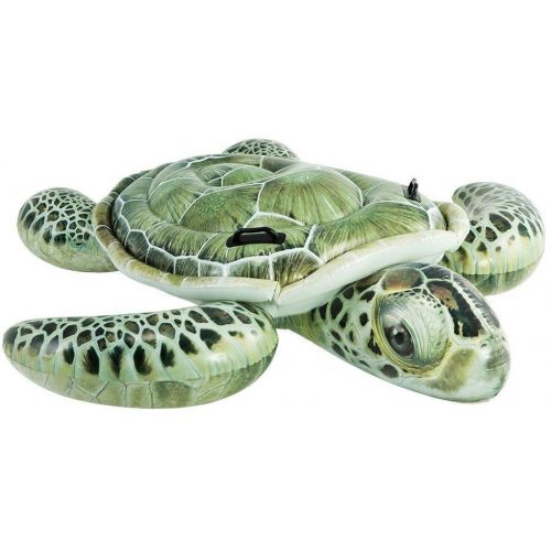 intex turtle float