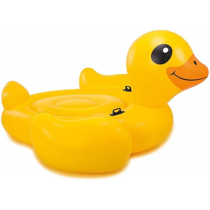 intex duck