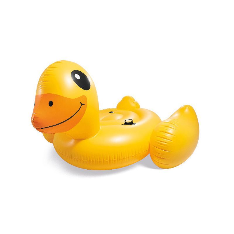 intex duck