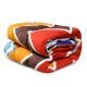 Family Bed Comforter Set Cotton Touch 2 Pieces Multi Color NN_163