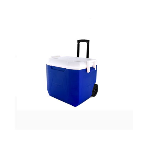 Fresh Ice Box 48 liter Blue Ice Box-6712