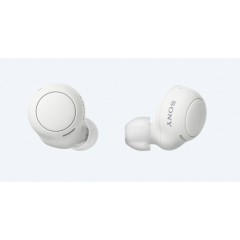 SONY Wireless Earbuds Noise White WF-C500/W