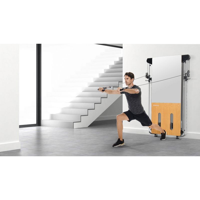 SHUA Multi Gym Wall Mounted Trainer G-699