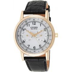 Citizen Watch for Men Leather AO9003-16A