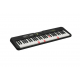Casio luminous Piano 61 Keys Tones 400 Black LK-S250C2